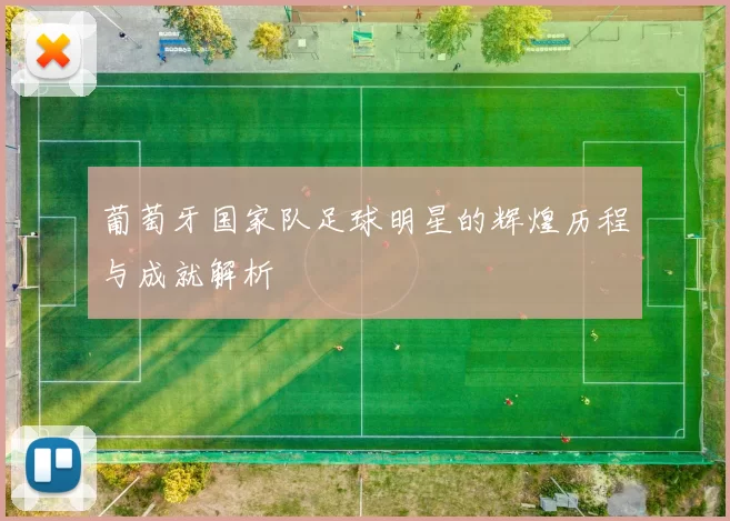 葡萄牙国家队足球明星的辉煌历程与成就解析