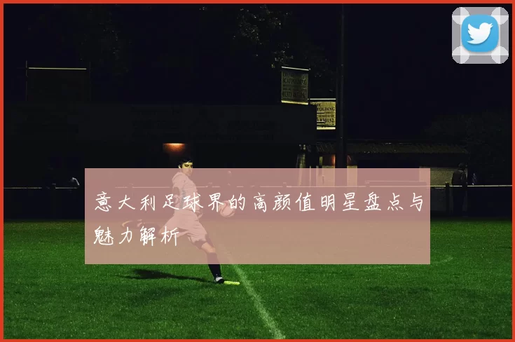 意大利足球界的高颜值明星盘点与魅力解析