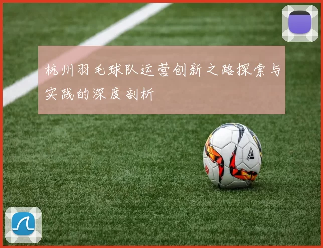杭州羽毛球队运营创新之路探索与实践的深度剖析