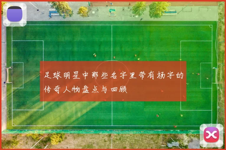 足球明星中那些名字里带有杨字的传奇人物盘点与回顾