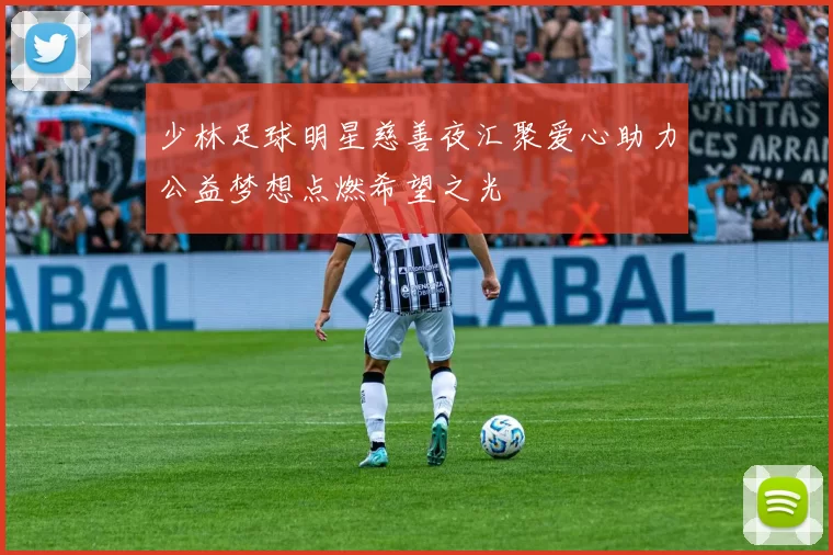 少林足球明星慈善夜汇聚爱心助力公益梦想点燃希望之光