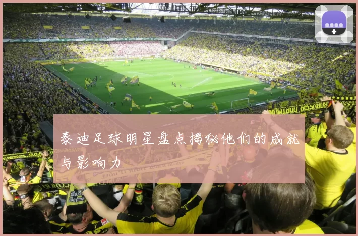 泰迪足球明星盘点揭秘他们的成就与影响力