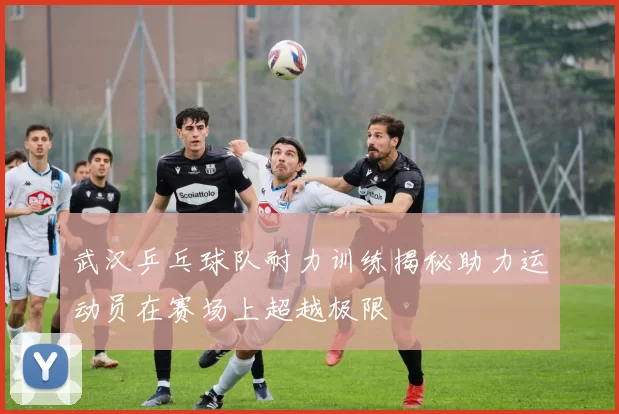 武汉乒乓球队耐力训练揭秘助力运动员在赛场上超越极限