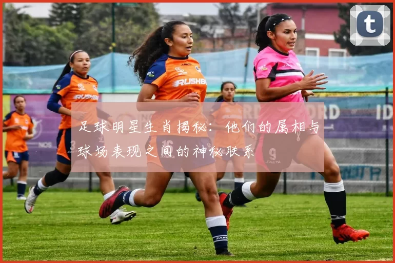 足球明星生肖揭秘：他们的属相与球场表现之间的神秘联系