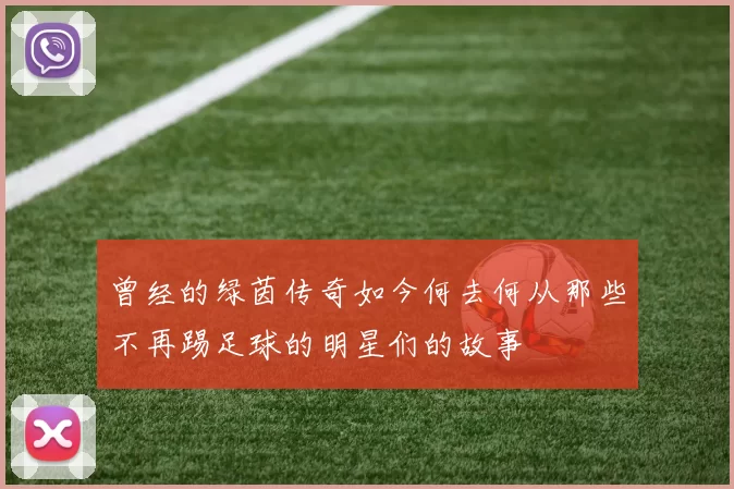 曾经的绿茵传奇如今何去何从那些不再踢足球的明星们的故事