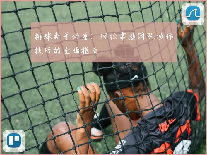 排球新手必看：轻松掌握团队协作技巧的全面指南