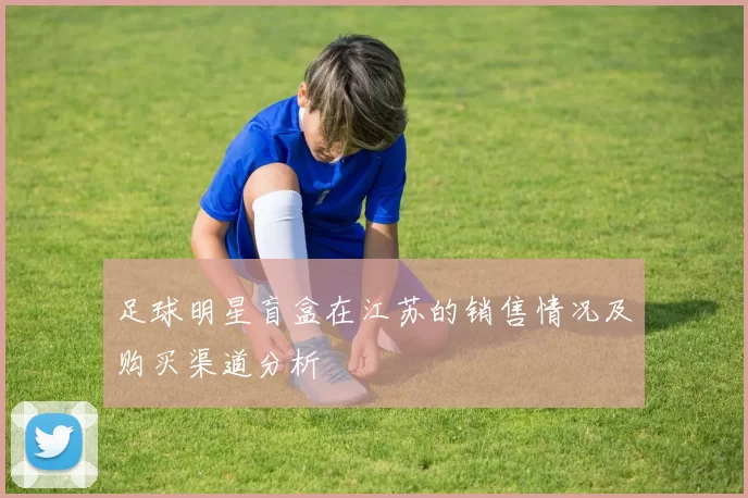 足球明星盲盒在江苏的销售情况及购买渠道分析