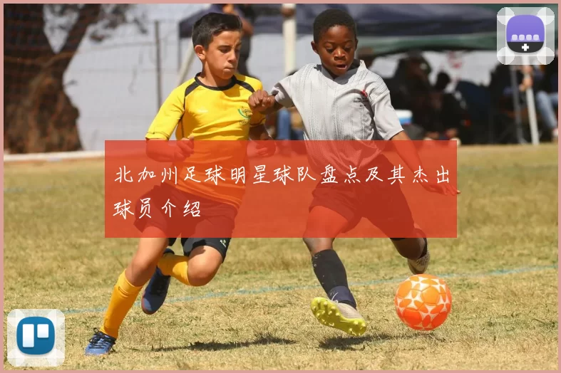 北加州足球明星球队盘点及其杰出球员介绍