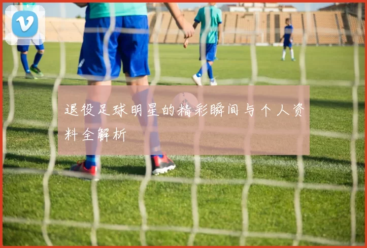 退役足球明星的精彩瞬间与个人资料全解析