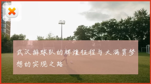 武汉排球队的辉煌征程与大满贯梦想的实现之路