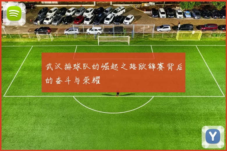 武汉排球队的崛起之路欧锦赛背后的奋斗与荣耀