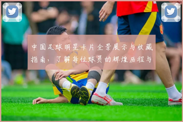 中国足球明星卡片全景展示与收藏指南，了解每位球员的辉煌历程与成就