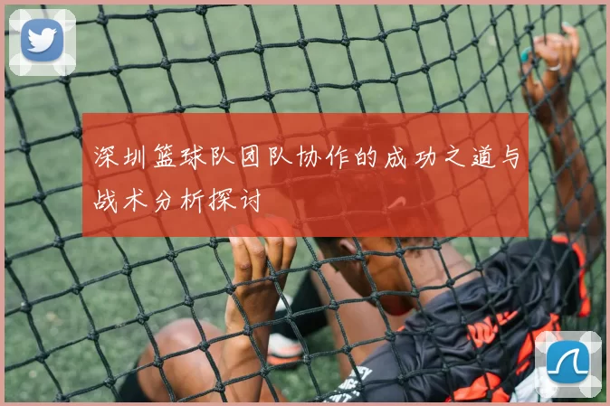 深圳篮球队团队协作的成功之道与战术分析探讨