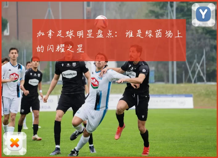 加拿足球明星盘点：谁是绿茵场上的闪耀之星