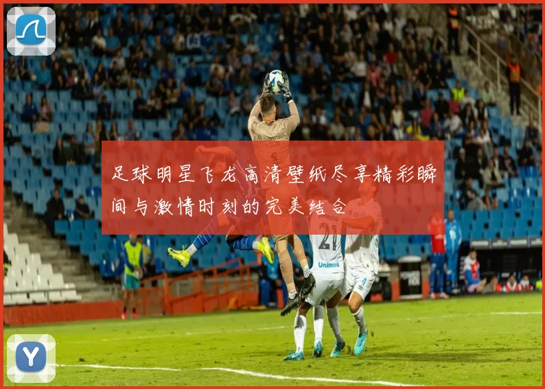 足球明星飞龙高清壁纸尽享精彩瞬间与激情时刻的完美结合